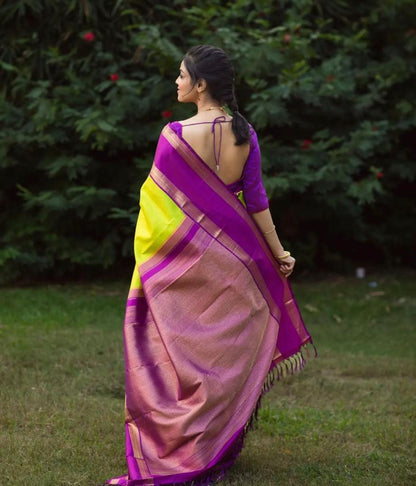 Banarasi Soft Silk Saree