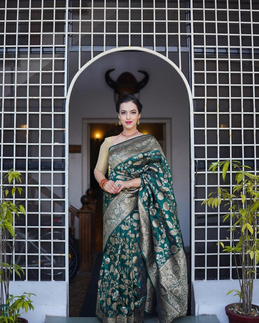 Banarasi SofT Silk Saree