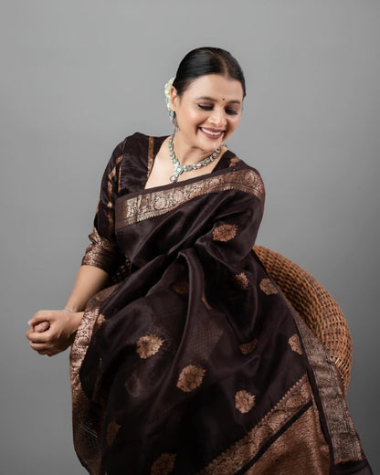 BANARASI SOFT SILK SAREE